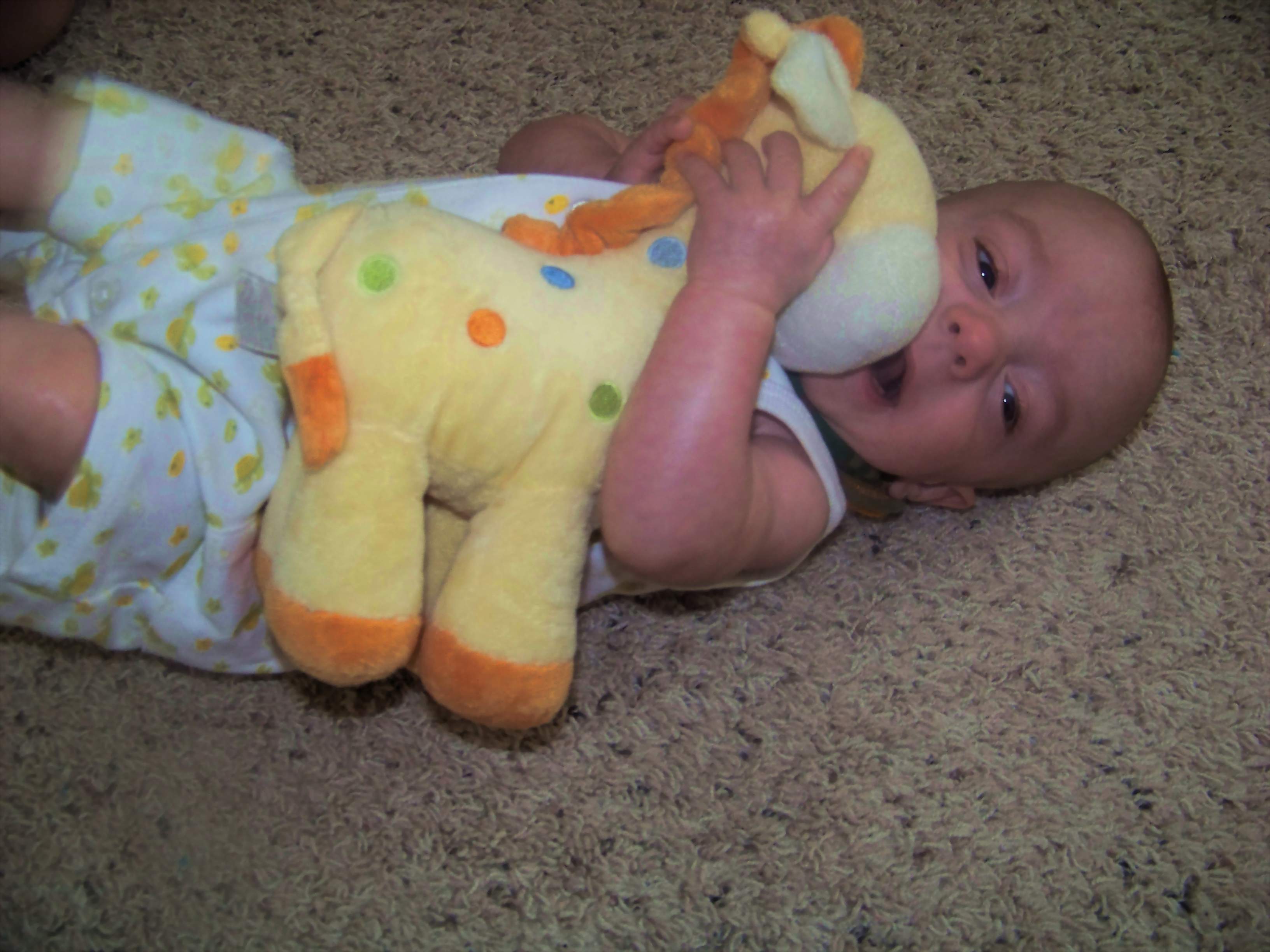 calebplayingwithgiraffe71108.jpg